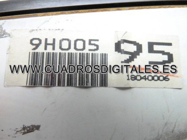 CUADRO NISSAN X-TRAIL 9H00595
