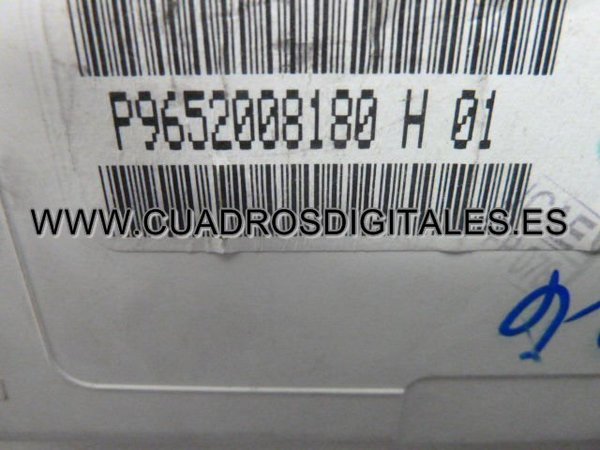 CUADRO CITROEN C2 C3 P9652008180H01
