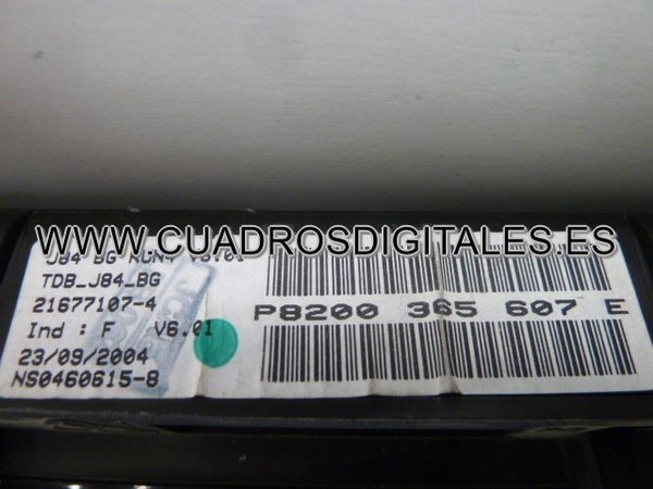 CUADRO RENAULT SCENIC P8200365607E 216693960 216771074 216693949