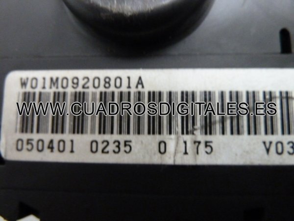 CUADRO SEAT LEON - SEAT TOLEDO W01M0920801A - 110080074014